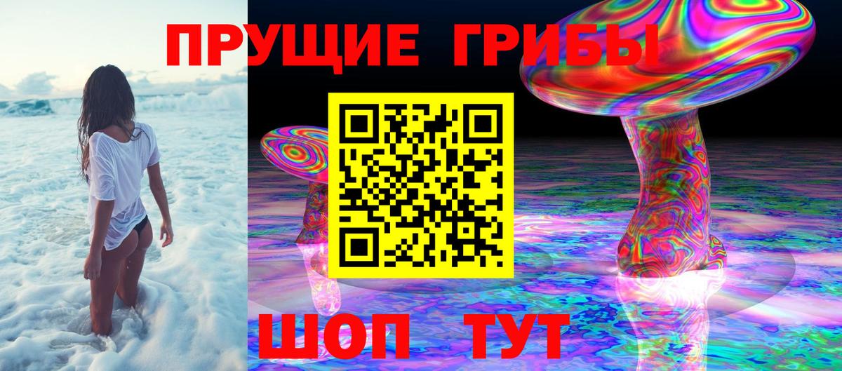 Псилоцибиновые грибы прущие грибы Ликино-Дулёво
