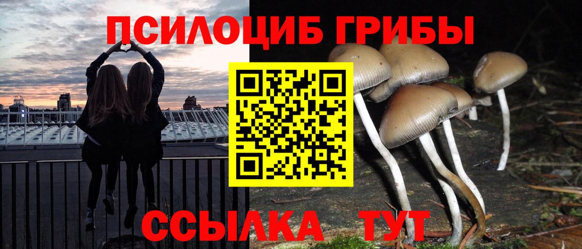 Ликино-Дулёво  Псилоцибиновые грибы MAGIC MUSHROOMS  Вход с VPN  Галлюциногенные грибы Psilocybe 